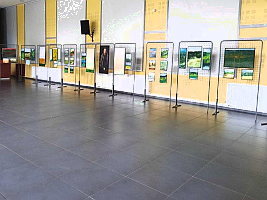 Impressionen von der Ausstellung Impressionen von der Ausstellung