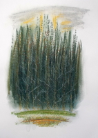 Pastelle aus Darney in Frankreich