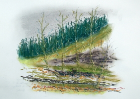 Pastelle aus Darney in Frankreich