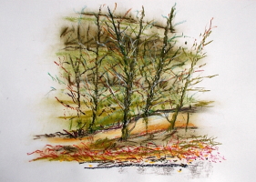 Pastelle aus Darney in Frankreich