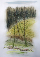 Pastelle aus Darney in Frankreich