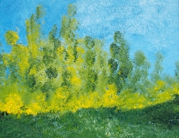 Darney das intime Fortmat 