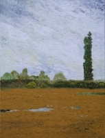 Westfälische Landschaften