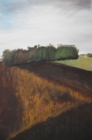 Westfälische Landschaften